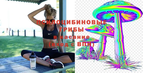 стафф Гусь-Хрустальный