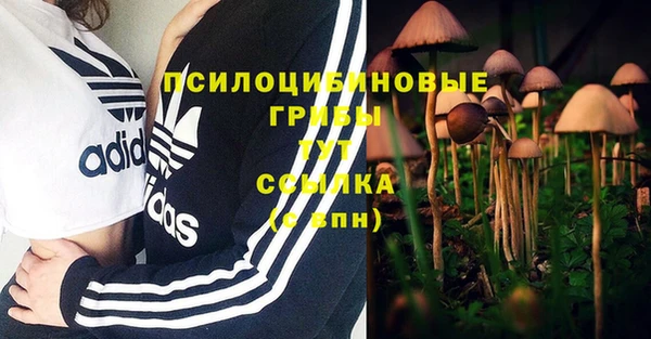 стафф Гусь-Хрустальный