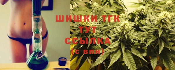 стафф Гусь-Хрустальный