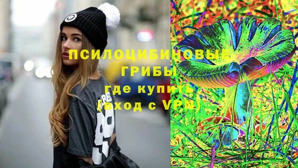 стафф Гусь-Хрустальный