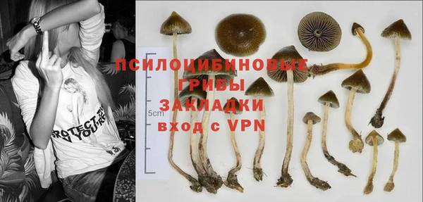 MDMA Гусев